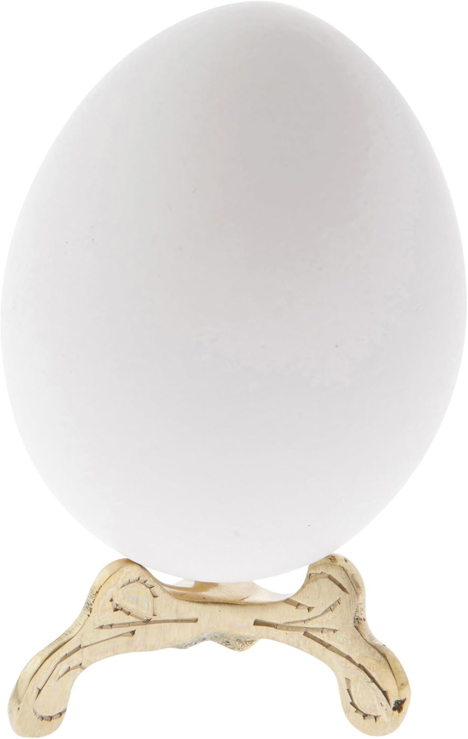 Bard's Brass-toned Egg Stand/Holder, Small Scroll Leg, 0.625" Diameter for Hen Sized Eggs