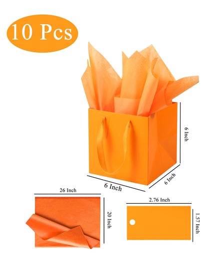 LFCXHTY 10 Pack Square Gift Bags with Tissue Paper Solid Small Orange Gift Bags with Handles for Party Favor Bag (6x6x6 In, Orange)