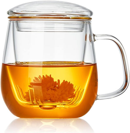 17.6oz/520ml DOPUDO Glass Tea Cup with Infuser and Lid, Large Borosilicate Teacup,Tea Glass, Clear Mug for Loose Leaf