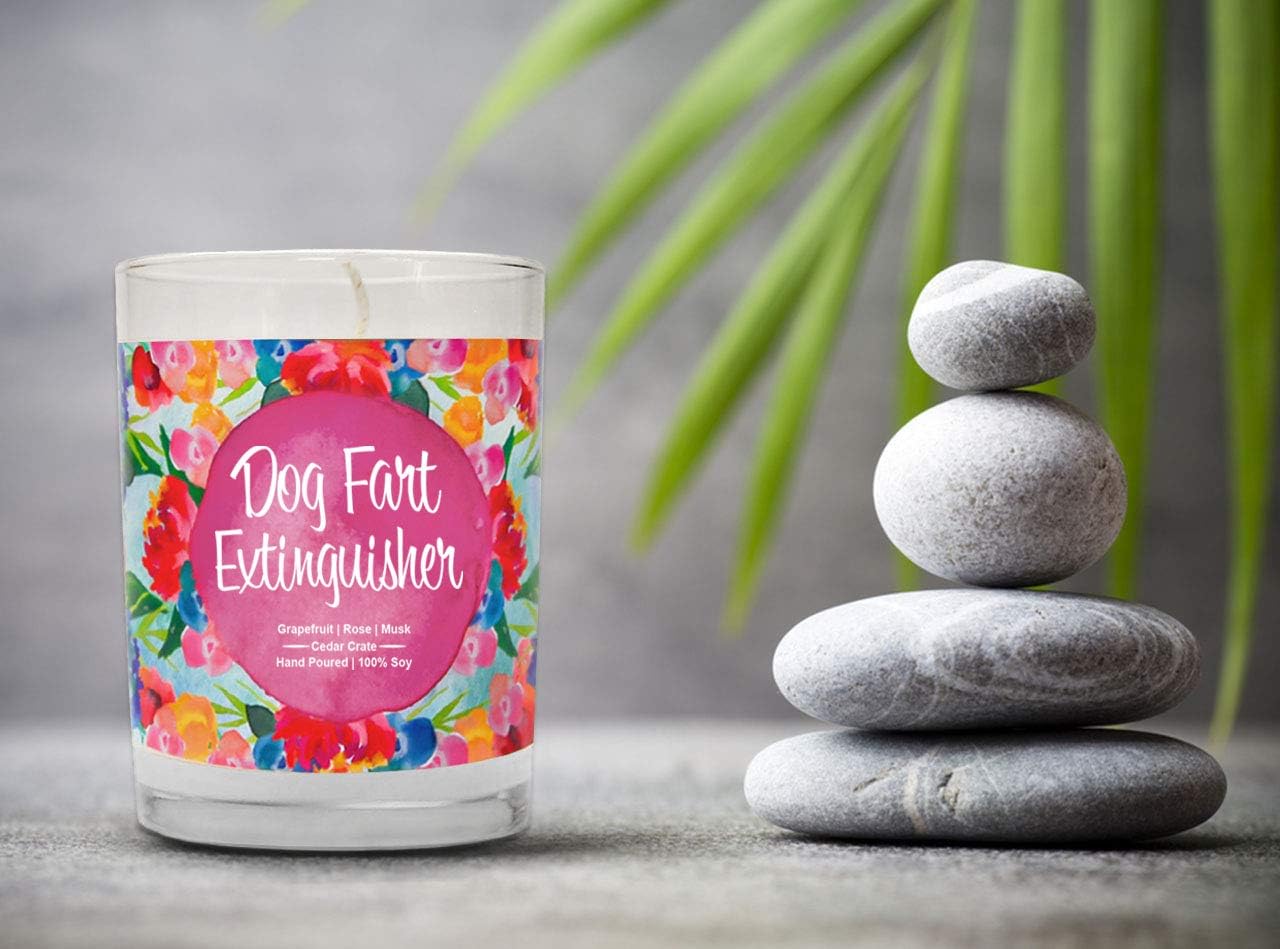 Dog Fart Extinguisher, Funny Scented Candles, Dog Mom Gifts, Gag Gift for Dog Lovers
