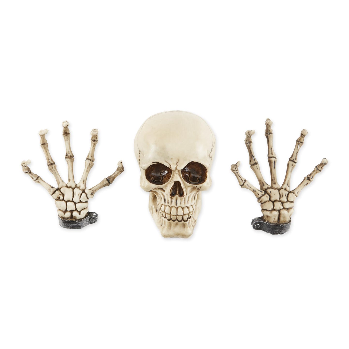 Dragon Crest Skeleton Wall Decor Set 3.87x3x5.75