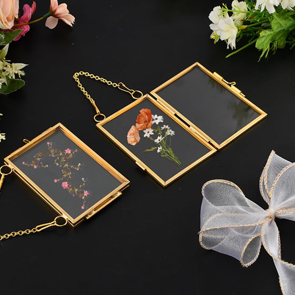 YOSINXU 4PCS Glass Frame for Pressed Flowers, 2x3 Inch Brass Hanging Photo Frame Double Glass-Frame with Chain for Pressed Flowers Leaf and Artwork with Ribbon