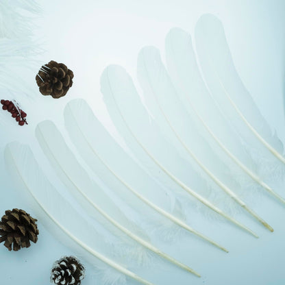 Feathers for Crafting 10-12 inches 24pcs Natural Black Big Turkey Feather Bulk for Craft DIY Crafts, Angel Wings, Dream Catcher and Wedding Party Decorations (White)