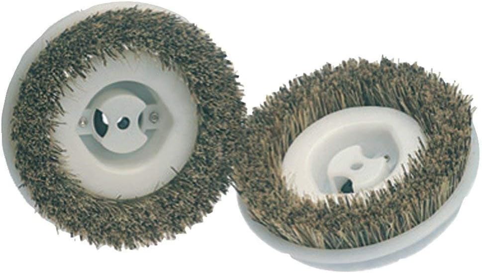 12-inch 2-Pack, 9" 6" 2" 45-0134-2 Koblenz Floor Scrubbing Brushes, Compatible with Floor Polisher, Scrub Brushes