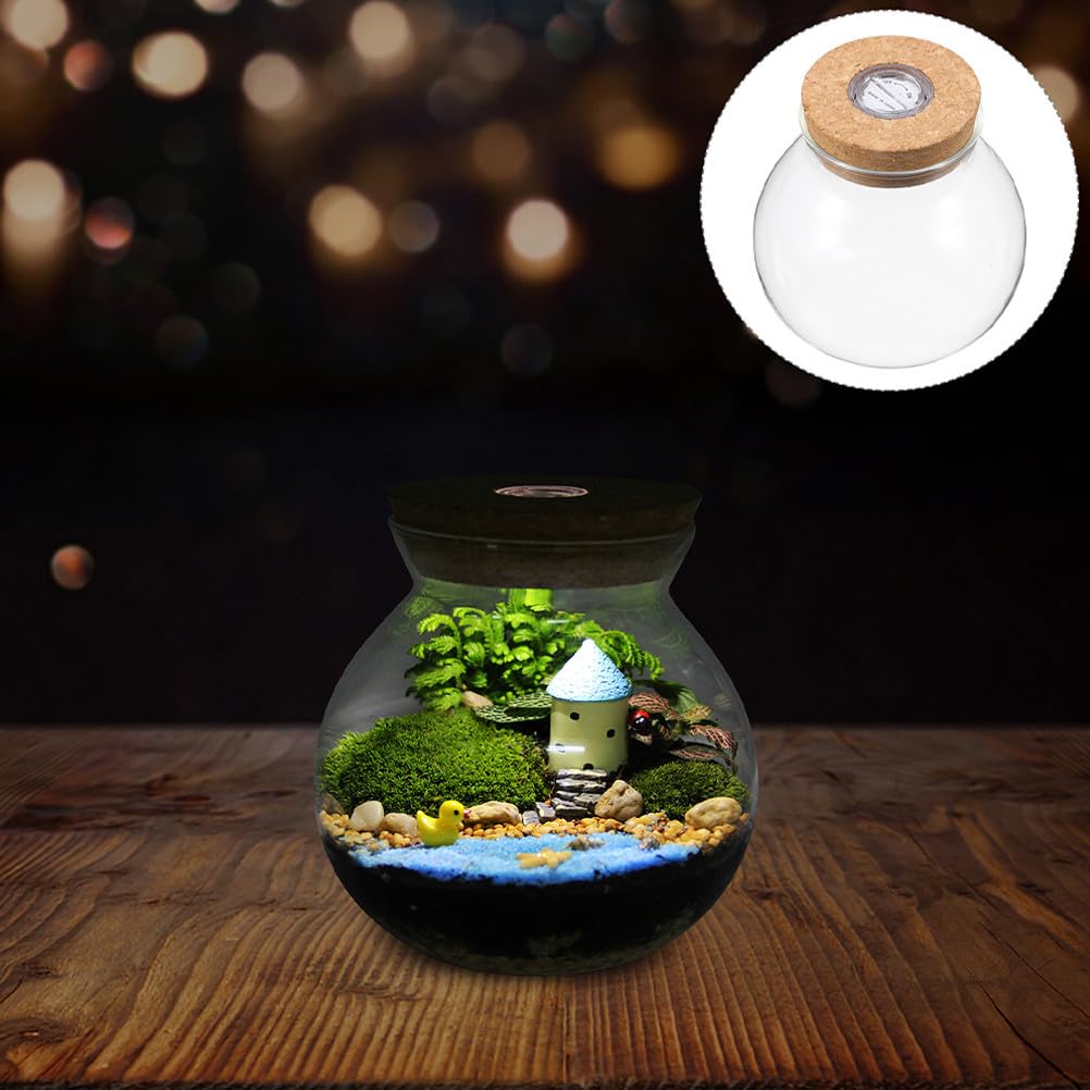 NUOBESTY Glass Terrarium Jar with Cork Lid, Hydroponic Plant Container, Desktop Propagation Jar with Led Light for Home Office Tabletop Decor