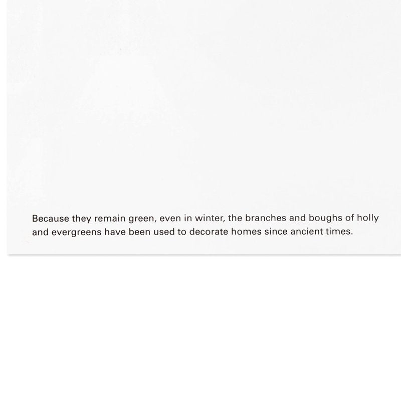 Hallmark UNICEF Boxed Christmas Cards Assortment, Wonder and Peace (12 Cards and 13 Envelopes)