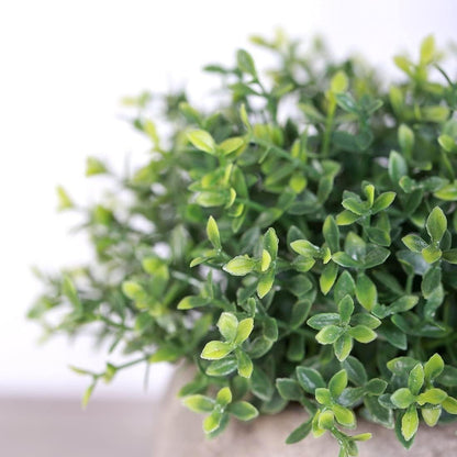 HC STAR Artificial Mini Fake Plant - Potted Decorative Lifelike Green Plants for Indoor and Outdoor Room Decor