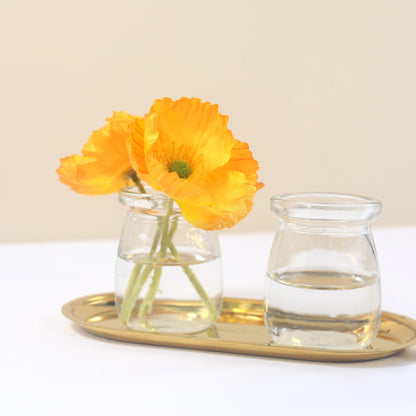Magic Season Decorative Glass Bottle with Cork Stopper (3.3 oz Pudding Bottles / 6 Pcs)