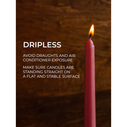 CANDWAX 8 inch Bordeaux Taper Candles Set of 12 - Unscented Smokeless Dripless Tall Candlesticks - Ideal for Home Decor, Thanksgiving or as Christmas Candles - Tapered Christmas Candle Sticks