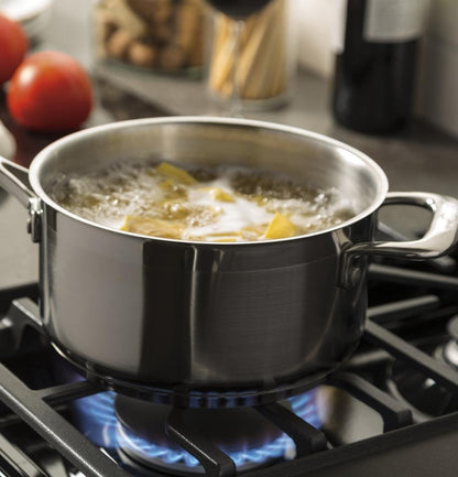 GE JGBS66DEKBB 30" Black Gas Sealed Burner Range