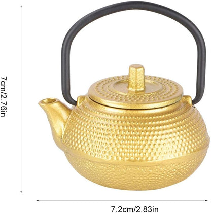 Gaeirt 50ml Cast Iron Tea Pot - Flat Bottom Tea Infuser with Handle and Spout, Exquisite Water Kettle for Home Kitchen