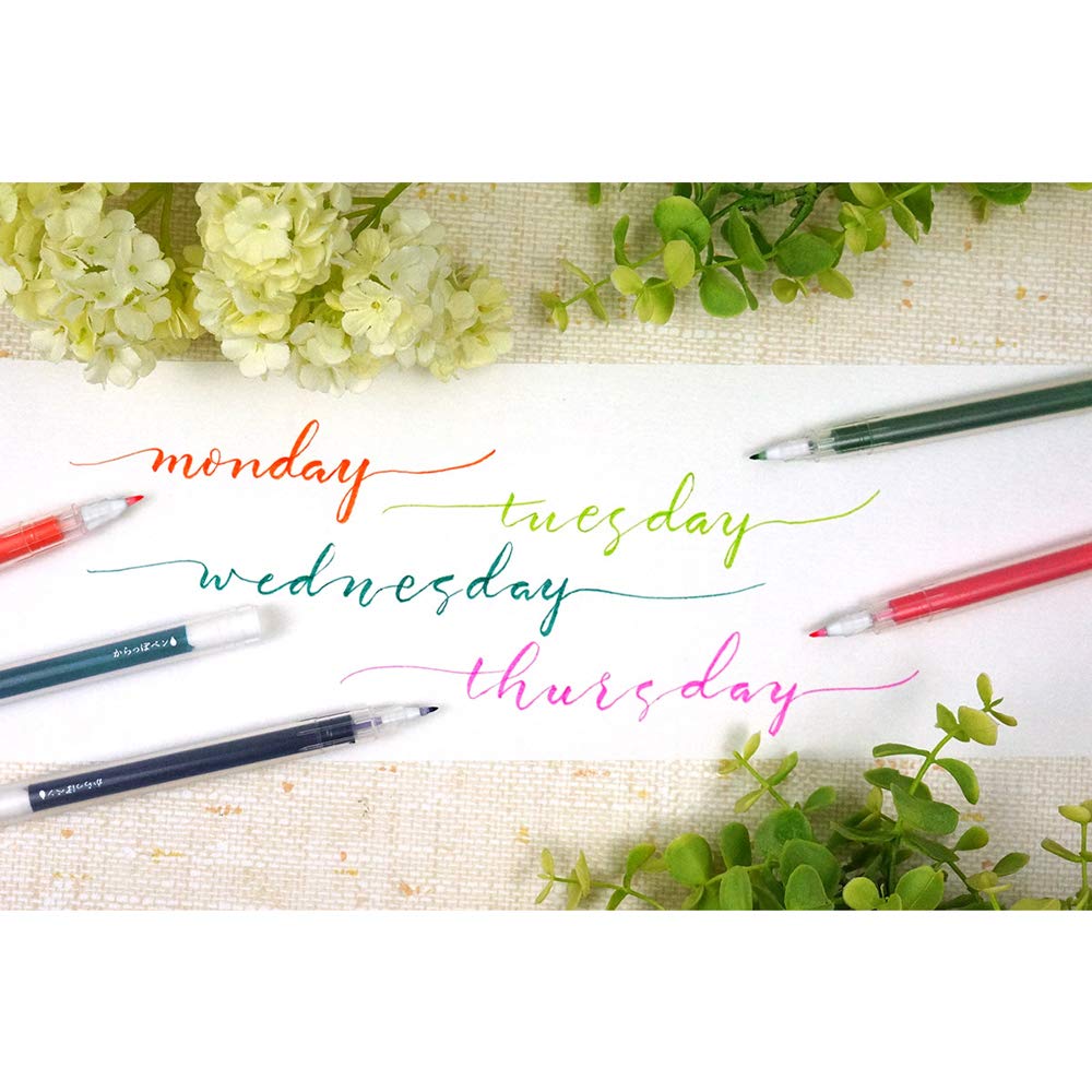Kuretake Karappo Pen, Fine Brush tip 5pcs set, Empty refillable ink pen, for lettering, calligraphy, illustration, drawing, Made in Japan
