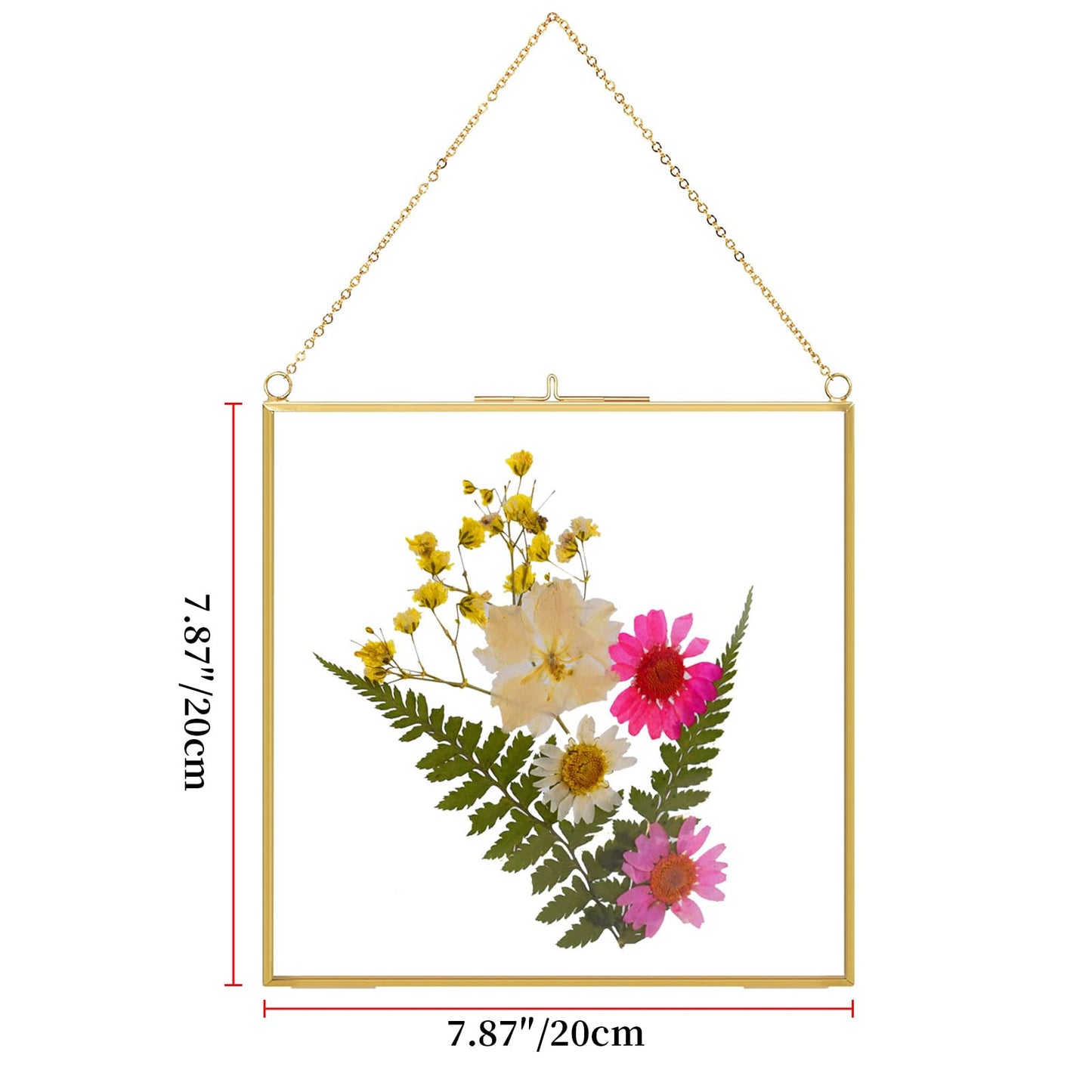 TLBTEK 2 PCS 8x8 inch Brass Hanging Photo Frame,Double Glass Frame for Pressed Flowers,Clear DIY Vintage Artwork Display Frame Wall Mounted Photos Frame