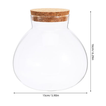 NUOBESTY Glass Terrarium Jar with Cork Lid, 6x6.3 Inch Closed Terrarium for Succulent Moss and Fern, DIY Miniature Desktop Garden for Home & Office Decor (No Plants)