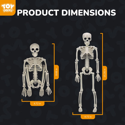TOY Life 16" Posable Halloween Skeleton Decor - 10 Pcs Full Body Joints for Outdoor Indoor Decorations, Hanging Plastic Skeletons