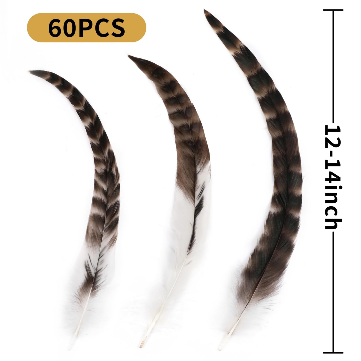 Holmgren Natural Chinchilla Feathers Bulk - 60pcs 12-14inch Natural Long Rooster Chinchilla Tail Feathers Bulk for DIY Crafts Hats Costume, Holiday Themed Party Decoration (Chinchilla)