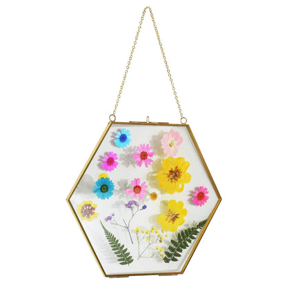 TLBTEK Brass Hanging Photo Frame,9.5 Inch Hexagon Glass Frame for Pressed Flowers,Clear DIY Vintage Artwork Display Frame Wall Mounted Photos Frame