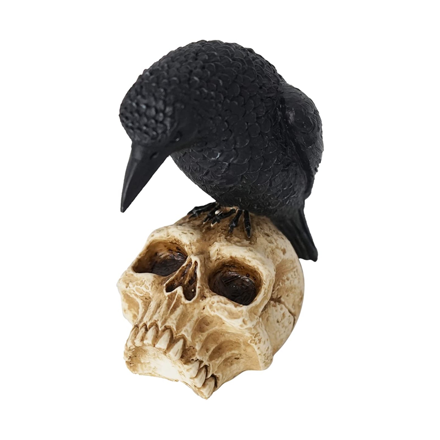 EraSpooky Sitting Crow on Skull Statue Halloween Decoration Gothic Bird Skeleton Figurine
