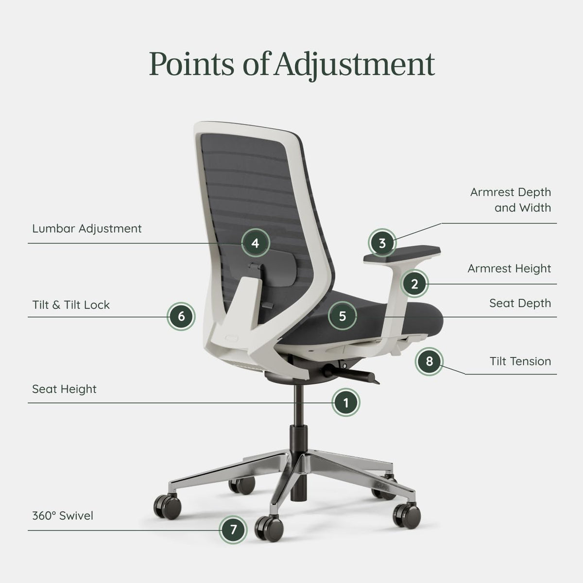 Branch Ergonomic Chair - A Versatile Desk Chair with Adjustable Lumbar Support, Breathable Mesh Backrest, and Smooth Wheels - Experience Optimal Comfort and Support - Graphite - White