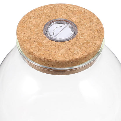NUOBESTY Glass Terrarium Jar with Cork Lid, Hydroponic Plant Container, Desktop Propagation Jar with Led Light for Home Office Tabletop Decor