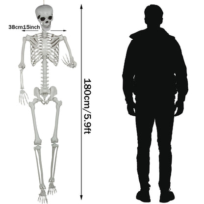 5.9ft Halloween Life Size Skeleton Realistic Full Body Skeletons Plastic Human Bones with Movable Joints for Halloween Props Spooky Party Decoration