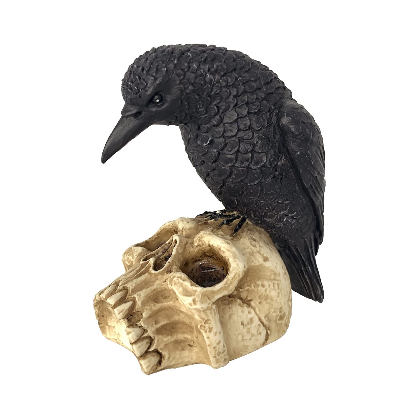 EraSpooky Sitting Crow on Skull Statue Halloween Decoration Gothic Bird Skeleton Figurine
