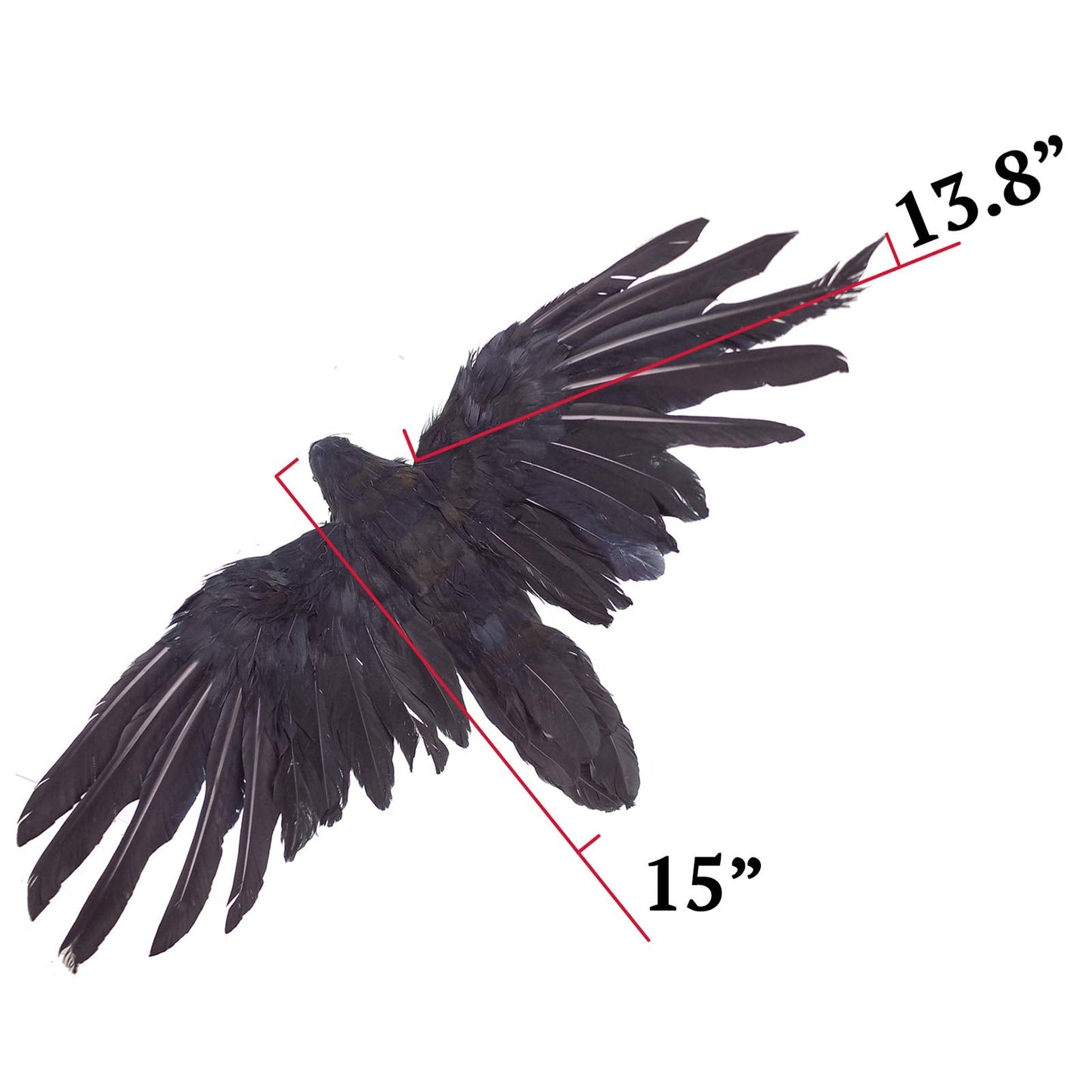 Etistta 2-Pack Realistic Crows Lifesize Extra Large Handmade Black Feathered Crow for Halloween Decorations Birds, XL (15 inch+15 inch)