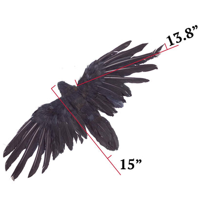 Etistta 2-Pack Realistic Crows Lifesize Extra Large Handmade Black Feathered Crow for Halloween Decorations Birds, XL (15 inch+15 inch)