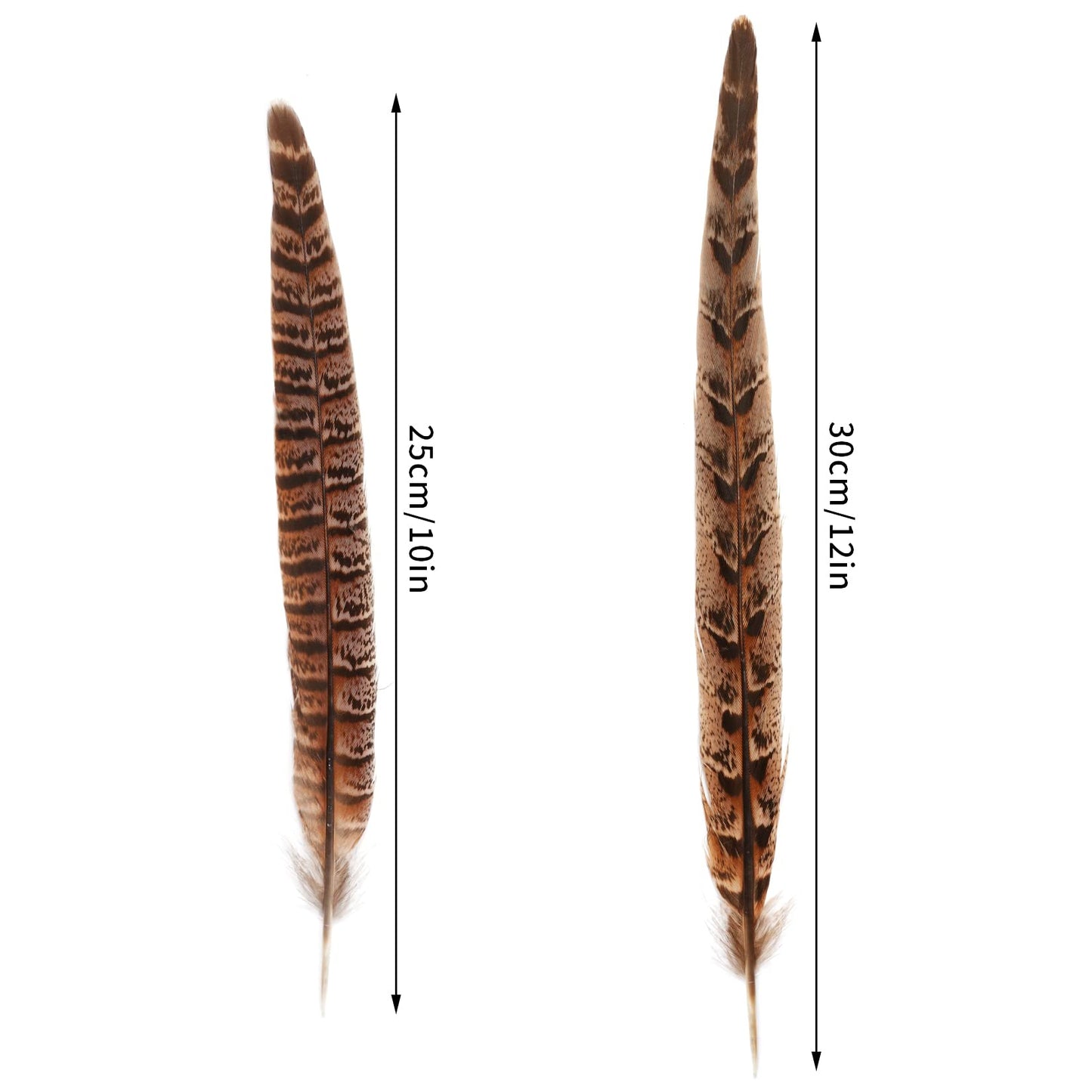 obmwang 27Pcs 25-30cm Natural Pheasant Feathers for DIY Craft Wedding Home Party Decorations
