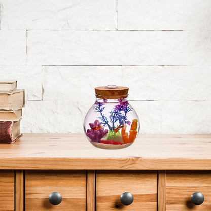 NUOBESTY Glass Terrarium Jar with Cork Lid, Hydroponic Plant Container, Desktop Propagation Jar with Led Light for Home Office Tabletop Decor