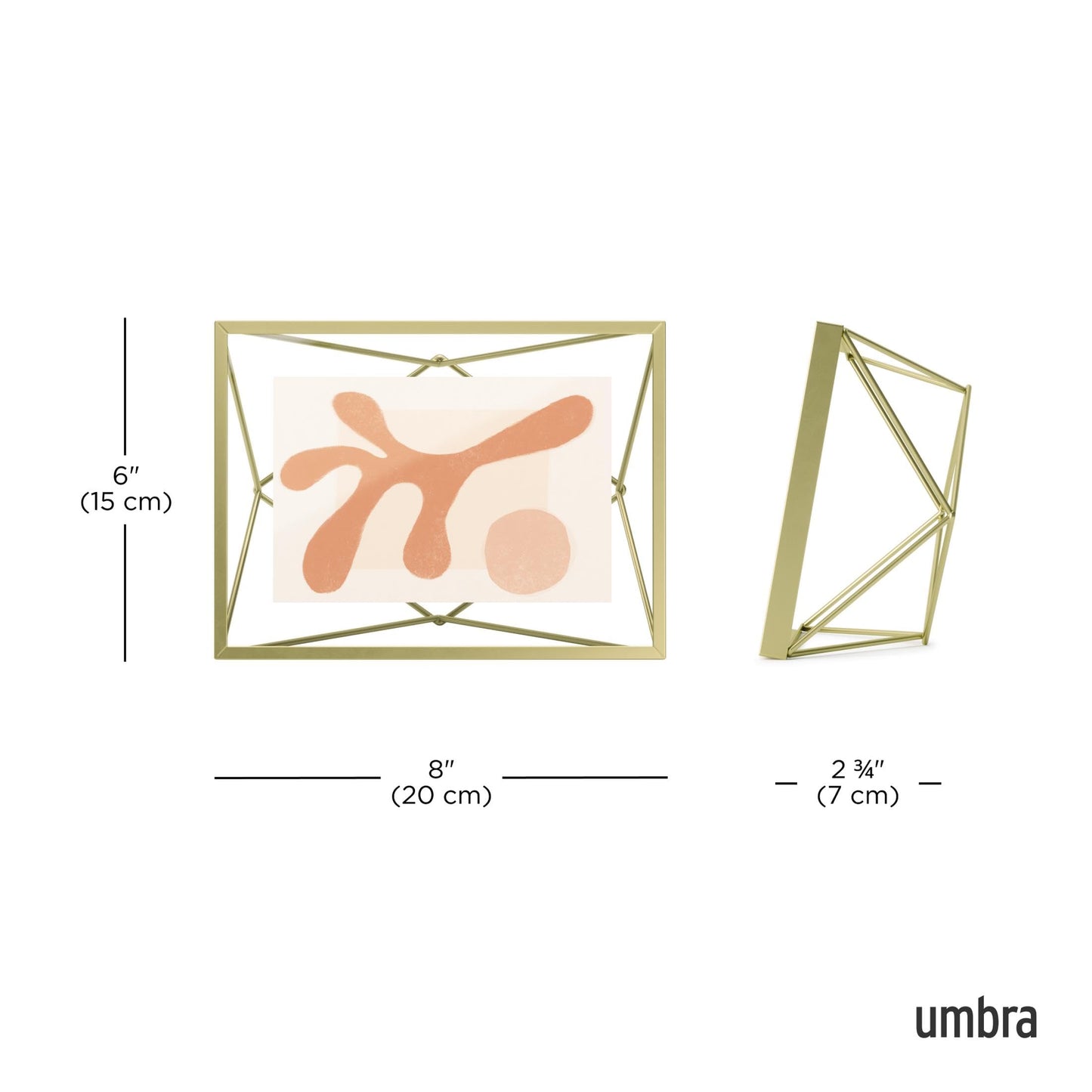 Umbra Prisma 4x6 Picture Frame, Metal Floating Wall or Desk Photo Display for Pictures, Art, Illustrations, and More, Brass
