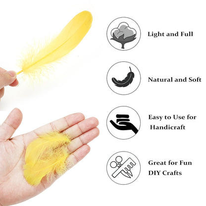 MWOOT 4 Styles Assorted Crafts Feathers (Yellow)