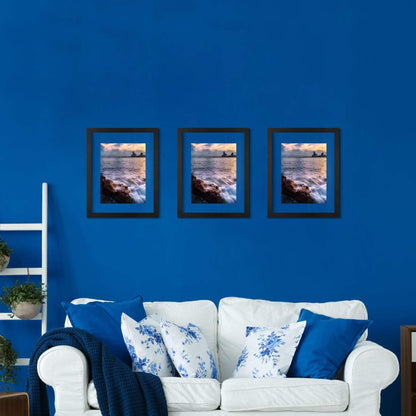 ONE WALL 16x20 Inch Floating Frame, Black Wood Double Glass Float Picture Frame Display 16x20/11x14 Inch Photos or Plant or Petal Specimens for Wall Hanging - Mounting Accessories Included