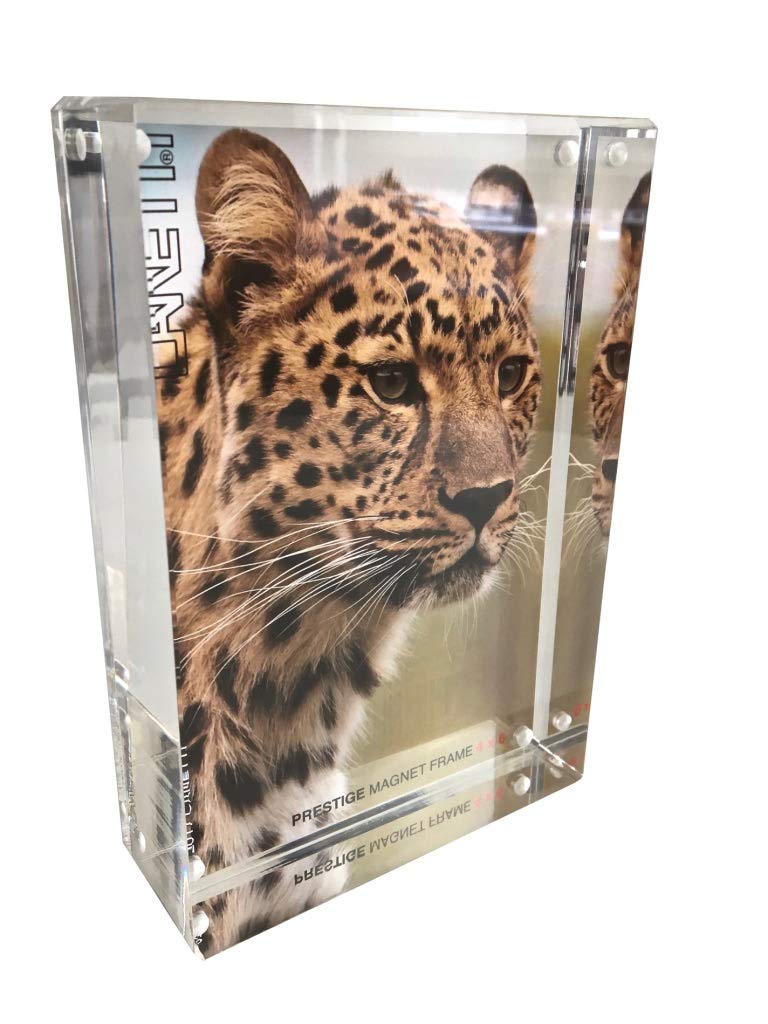 Canetti Original Magnet Frame 2x4 Prestige Magnetic Picture Frame, Floating Photo Frame, Two Acrylic Panels Gold