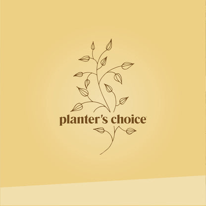 Bonsai Starter Kit - Gardening Easter Gift for Women & Men - Bonsai Tree Growing Garden Crafts Hobby Kits for Adults, Unique DIY Hobbies for Plant Lovers - Unusual Christmas Gifts Ideas
