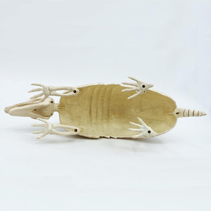 JUST FOR PARTY Armadillo Skeleton Halloween Decorations, 14"x4"x6.25", Rotatable Head and Openable Mouth, Resistant Plastic Armadillo for Fall Graveyard Haunted House Party Indoor and Outdoor Decor