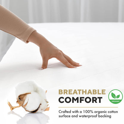 3-Piece 2 6-Sided MATTSHIELD Ultimate Sensitive Skin Kit Full Size Bed Bug Mattress Protector + Zippered Pillow Covers