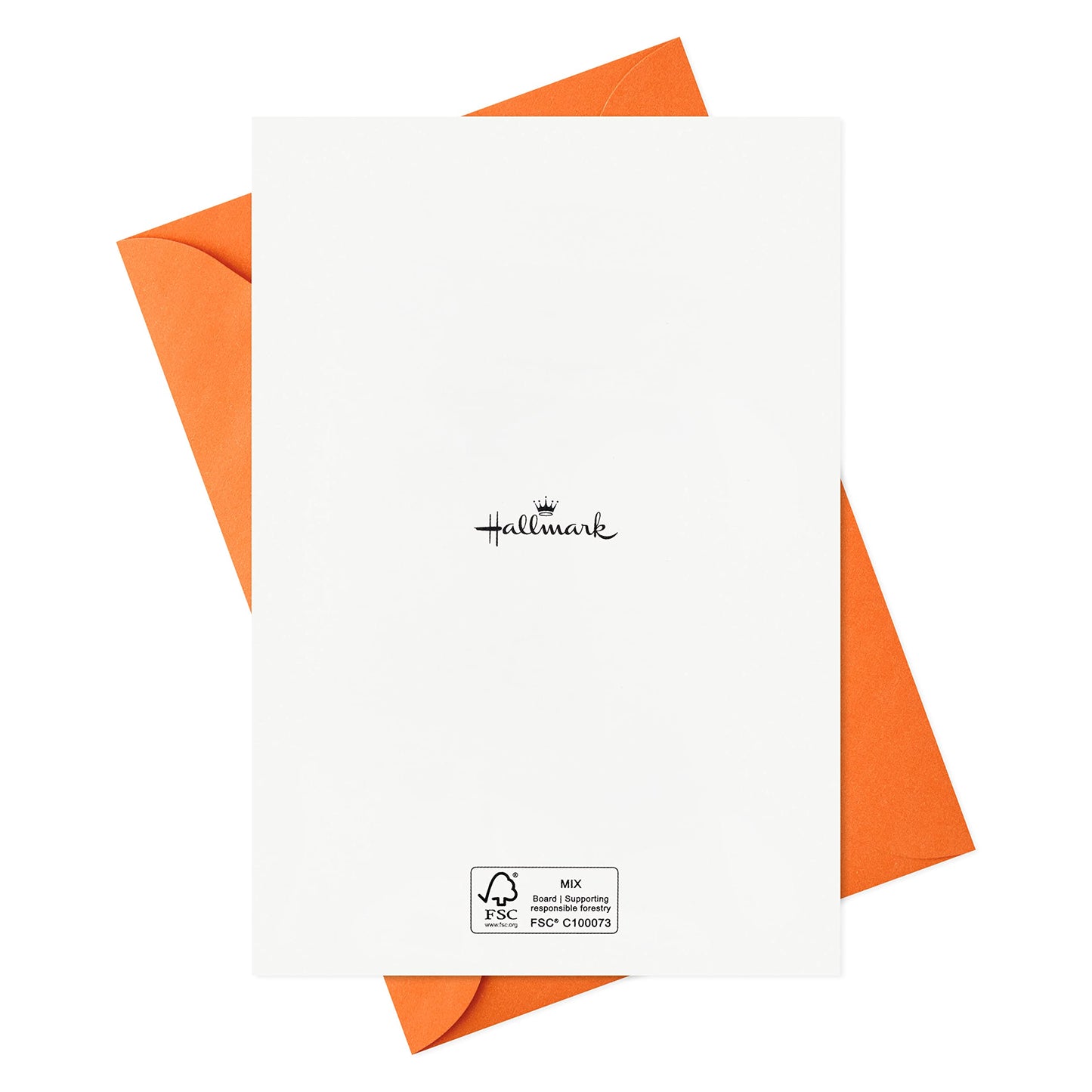 Hallmark Halloween Cards Assortment, Boo to You (36 Cards with Envelopes)