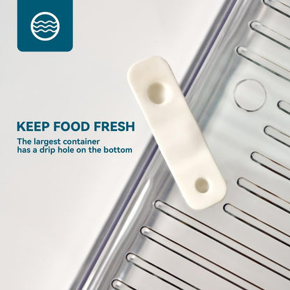 Luckore 10 Pack Clear Fridge Organizer, Stackable Refrigerator Organizer Bins with Lids, Fridge Storage Containers for Kitchen, Food, Cabinets, Fruits, Vegetables, Cereals