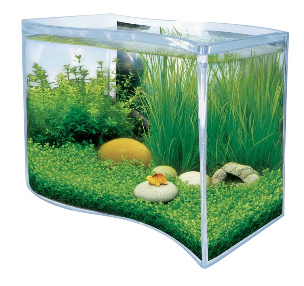 Toys By Nature Freshwater Oasis Garden, Mini Wave Terrarium Kit with Aquatic Seeds and Real Water Plant, Beginner-Friendly Terrariums and Live Indoor Plants Decor