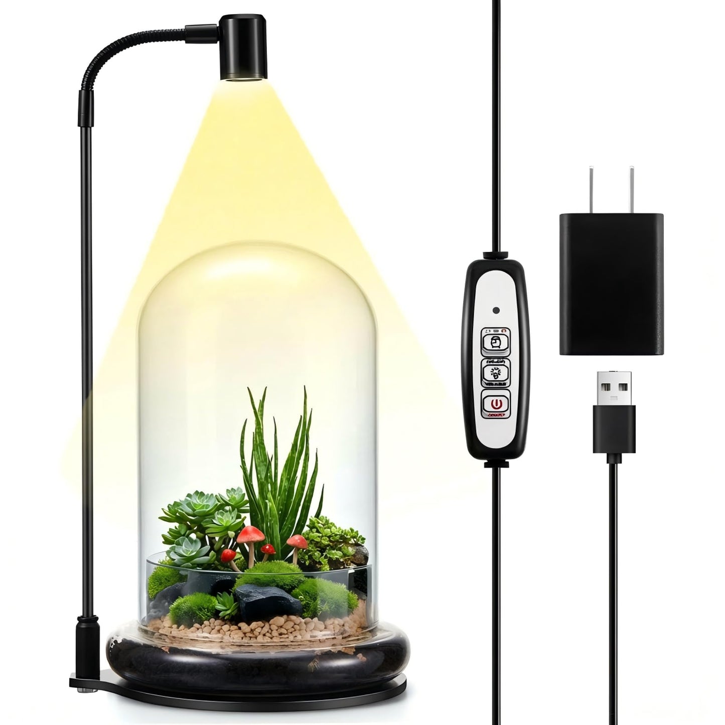 Maxdot Plant Terrarium Kit with Grow Light, 4.8'' x 7.87'' Glass Dome Terrarium with Air Hole and Base, Succulent Air Planter Fern Moss Micro Landscape Vase for Home Office Tabletop Decoration
