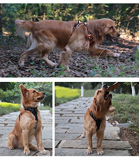 JUXZH Truelove Soft Front Dog Harness .Reflective No Pull Harness with Handle and 2 Leash Attachments