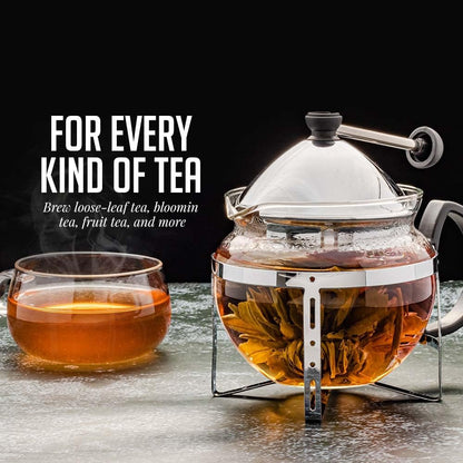 OVENTE Glass Teapot with Removable Stainless-Steel Infuser, 17oz Borosilicate Glass Tea Maker for Everyday Use