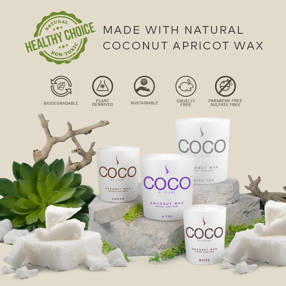COCO by Stone 6.5oz Candle, Coconut Apricot Wax Candle for Home (Black Currant) Home Fragrance Products, 1 Wick, Enhance Indoor Aroma, Vegan & Cruelty-Free, Clean Burning and Hand Poured
