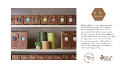 Root Candles Unscented Pillar Candles Beeswax Enhanced Textured Timberline™ Pillar Candle, 3 x 3-Inch, Sage Green