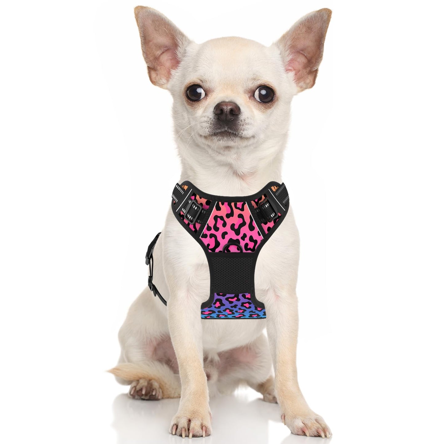 Rnivvi No Pull Dog Harness, Cute Leopard Reflective Small Sized Puppy Kitten Harness, Adjustable Soft Padded Vest for Small Dogs, Cats, Heavy Duty Pet Vest with Easy Control Handle for Walking, Neon
