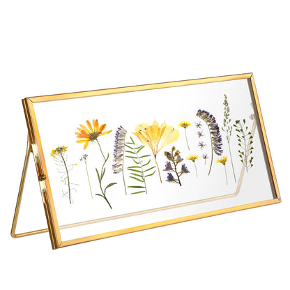 OGANAZI Double-Glass Dried Flower Frame, Brass Floating Frames for Pictures, Pressed Flowers, Leaves, Arts, Stamps, 4x 9 inches Decorative Tabletop Display Holder for Home Plant Specimen (FRAME ONLY)