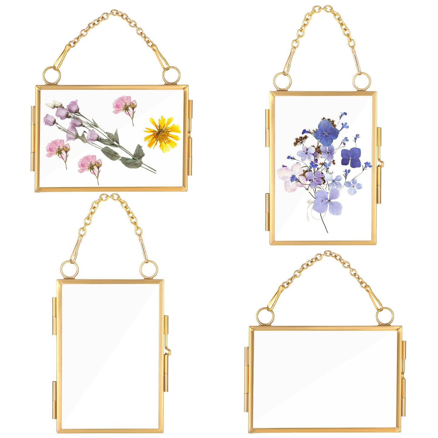 4Pcs Double Glass Frame for Pressed Flowers, 2x3 inch Brass Clear Pressed Flower Decor with Chain, Gold Floating Hanging Photo Frame, Horizontal Vertical Frames for Specimen Artwork Display Decor