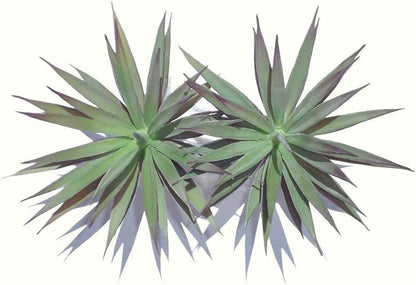 Mixed Artificial Succulent Flowers Plants - Unpotted Decor Stems Faux Succulents Bulk Assorted Picks for Indoor Wall