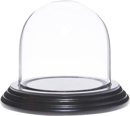 Plymor 3" x 3" Glass Display Dome Cloche with Black Wood Veneer Base